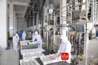 2019年濟(jì)寧市新舊動能轉(zhuǎn)換現(xiàn)場觀摩團(tuán)走進(jìn)嘉祥